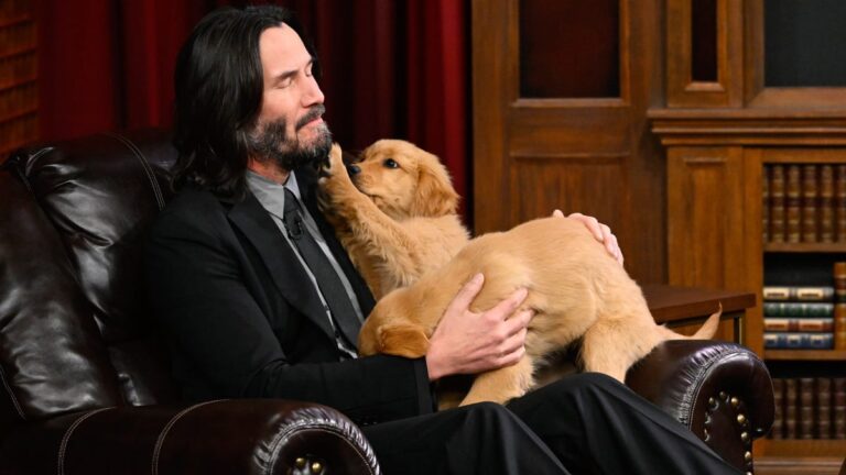 Keanu Reeves Celebrates John Wick Stunt Actor’s Death Counts